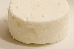 AAA_0175-e1487411321934